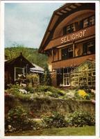 Baden-Baden, Selighof / holiday resort, hotel, inn. Verlag Preiss & Co. (EK)