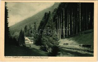 Tabarz (Thür. Wald), Massemühle im Lauchagrund / mill, road, forest (Rb)