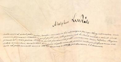 1906 Szamosújvár Minorich Albert utolsó főszolgabírójának politikatudományi oklevele sérült pecsétte...