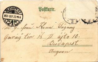 1901 Wiesbaden, Kochbrunnen-Anlagen / spa, bath, park. Verlag & Druck Kunstanstalt Rosenblatt 62...