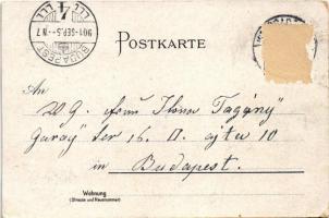 1901 Frankfurt am Main, Palmengarten Gesellschaftshaus, Schweizerhaus, Palmenhaus / palm trees, chal...