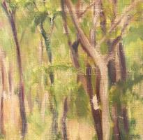 Kluyber Karoline (?-): Erdőrészlet, Alsógöd, 1945. Olaj, vászon, jelzett, hátoldalán feliratozott. 3...