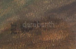 Zeller Mihály (1859-1915 : Fények az erdőben. Akvarell, papír, üvegezett fa keretben, 22,5×29,5 cm