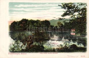 Felsőbánya lake Bódi