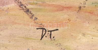 DT jelzéssel: A Jókai hajó a Balatonon. Olaj, karton, fa keretben, 30×24 cm. A Jókai a Balaton harma...