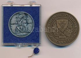 Garamkeszi János (1936- ) 1978. "Mezőtúr 600 éves / Dózsa György" ezüstözött Br emlékérem ...