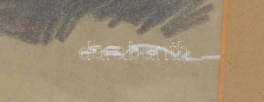 Sebők Imre (1906-1980): Férfi portré. Ceruza, kréta, papír, jelzett, üvegezett fa keretben, 14x11,5 ...