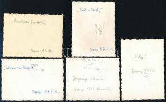 1941 Jegenye településen készült 5 db fotó, 6x7,5 és 6x8,5 cm közötti méretekben