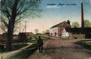 Orosháza Megyaszai malom (EB)