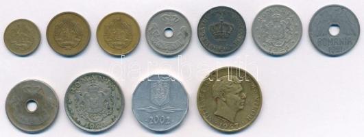 Románia 1906-2002. 11db-os vegyes érme tétel, mind különféle névérték és kiadás T:vegyes
Romania 19...