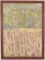 Gyarmathy jelzéssel: Táj. Olaj, vászon, fa keretben, 80x60 cm