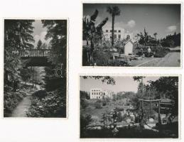 Kolozsvár, Cluj; Botanikus kert - 6 db régi képeslap / Botanical garden - 6 pre-1945 postcards