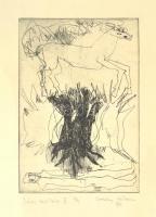Csohány Kálmán (1925-1980): Dürer emlékére V. (1971). Rézkarc, papír, jelzett és számozott: 2/4 (!). Üvegezett keretben, 29x20 cm