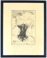 Csohány Kálmán (1925-1980): Dürer emlékére V. (1971). Rézkarc, papír, jelzett és számozott: 2/4 (!)....