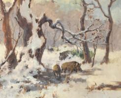 Neogrády jelzéssel: Vaddisznók. Olaj, vászon. Díszes, kissé sérült neobarokk stílusú fa keretben, 61...