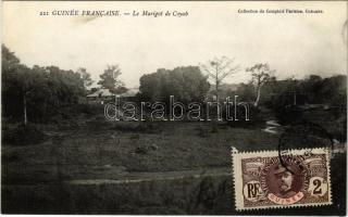 Coyah, Guinée Francaise, La Marigot / flood basin, general view