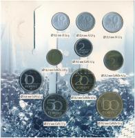 1996. 10f-100Ft 10klf db "50 éves a forint" forgalmi sor dísztokban T:PP Adamo FO29.3