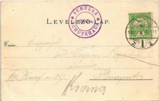 1910 Brassó, Kronstadt, Brasov; Schuler, Pavillon / Keresztényhavasi menedékház, pavilon, kert. Orig...