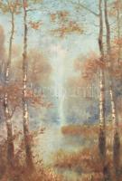 Adler jelzéssel (Adler Mór?): Erdőrészlet. Olaj, vászon, sérült. Díszes fa keretben, 68×55 cm