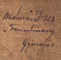 Olvashatatlan jelzéssel: Női arckép (tanulmány). Olaj, vászon, hátoldalán jelzett és feliratozott (....