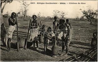 Céréres du Sine / Serer women, Senegalese folklore