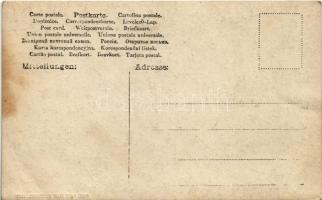 SMS Sperber (később SM TB 31) osztrák-magyar haditengerészet Schichau osztályú torpedónaszádja / SM ...