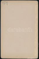 1892 Budapest, Városligeti-tó, keményhátú fotó, feliratozva, 11×16,5 cm