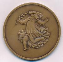 DN "Ady Endre 1877-1919" kétoldalas Br emlékérem (60mm) T:1- 
Hungary "Endre Ady 187...