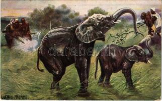 1914 Elephants shot by African hunters. Serie 241. s: Ludwig Fromme