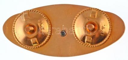 1980. "A Magyar Népköztársaság Űrhajósa" aranyozott, műgyantás jelvény (26x60mm) T:1