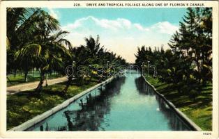 Florida, Drive and Tropical Foliage along one of Floridas Canals (EK)