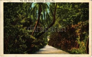 1924 Florida, The Old Drive to Cocoanut Grove (fl)
