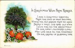1926 Florida, Christmas Wish from Florida. Christmas greeting card with oranges (EK)
