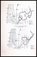 A Kis-Balaton térsége. Szerk.: Futó Attila. A Balaton-felvidék természeti értékei. II. köt. Veszprém...