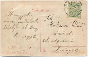 1909 Siófok, Vihar a Balatonon. leporellolap belül fürdőházak, Telepi tőzsde kiadása  (fl)