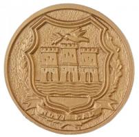 Szerbia DN Novi Sad (Újvidék) egyoldalas, öntött Br emlékérem díszdobozban (80mm) T:1- Serbia ND Novi Sad one-sided, cast Br medallion in case (80mm) C:AU