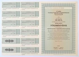 Budapest 1999. TopHáz Gazdasági Tanácsadó és Ingatlanbefektetési Részvénytársaság törzsrészvénye 100.00Ft-ról szelvényekkel, lyukasztással érvénytelenítve T:I