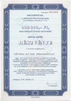Budapest 1991. Mélyépítő RT. névre szóló részvénye 100.000Ft-ról, szelvényekkel, belső oldalon ÉRVÉNYTELEN felülbélyegzéssel T:I