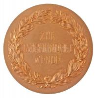 Német Birodalom 1901. "KRONOS / ZUR JAHRHUNDERT WENDE (Az évszázadfordulóra)" aranyozott B...