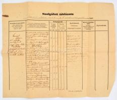 cca 1860 Ráckevei adóhivatalnoki pénztárnok szolgálati táblázata