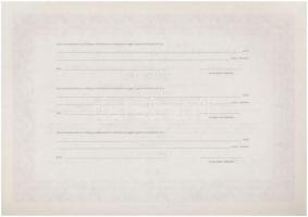 Budapest 2004. "TÖRÖKBÁLINT-B Ingatlanforgalmazó Részvénytársaság" névre szóló, száz darab...