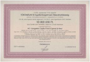 Budapest 2004. TÖRÖKBÁLINT-B Ingatlanforgalmazó Részvénytársaság névre szóló, száz darab részvénye összesen 10.000.000Ft-ról, MINTA perforációval T:I,I-