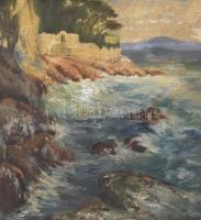 Irén 1913 jelzéssel: Sziklás tengerpart. Olaj vászon, sérült. Díszes antik, kissé sérült fa keretben...