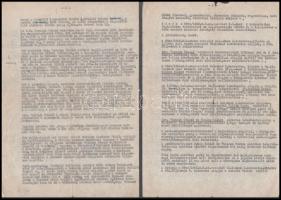 1874-1951 A Barasits képeslapkiadó család dokumentumai: Barasits János (1859-1935) és felesége, Pich...