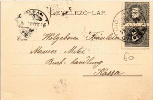 1899 Écska, Ecka; Gróf Harnoncourt kastély, ménes. Gresits & Kralyev kiadása / castle, stud farm