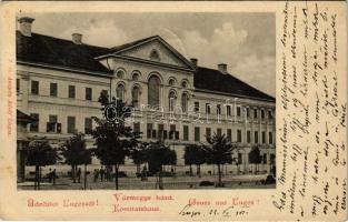 1901 Lugos, Lugoj; Vármegye háza / county hall
