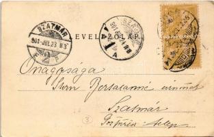 1901 Lugos, Lugoj; Vármegye háza / county hall