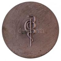 Csehszlovákia DN "FACULTAS MEDICA UNIVERSITATIS PURKYNIANAE BRUNENSIS" ezüstpatinázott fém...