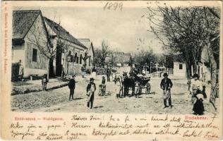 1899 Budakeszi, Erdő utca, lovaskocsi. Hatschek Emil 6. sz. (kis szakadás / small tear)