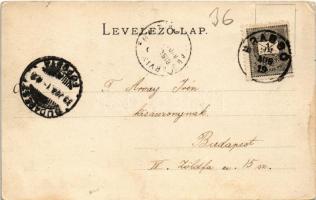 1899 Budakeszi, Erdő utca, lovaskocsi. Hatschek Emil 6. sz. (kis szakadás / small tear)